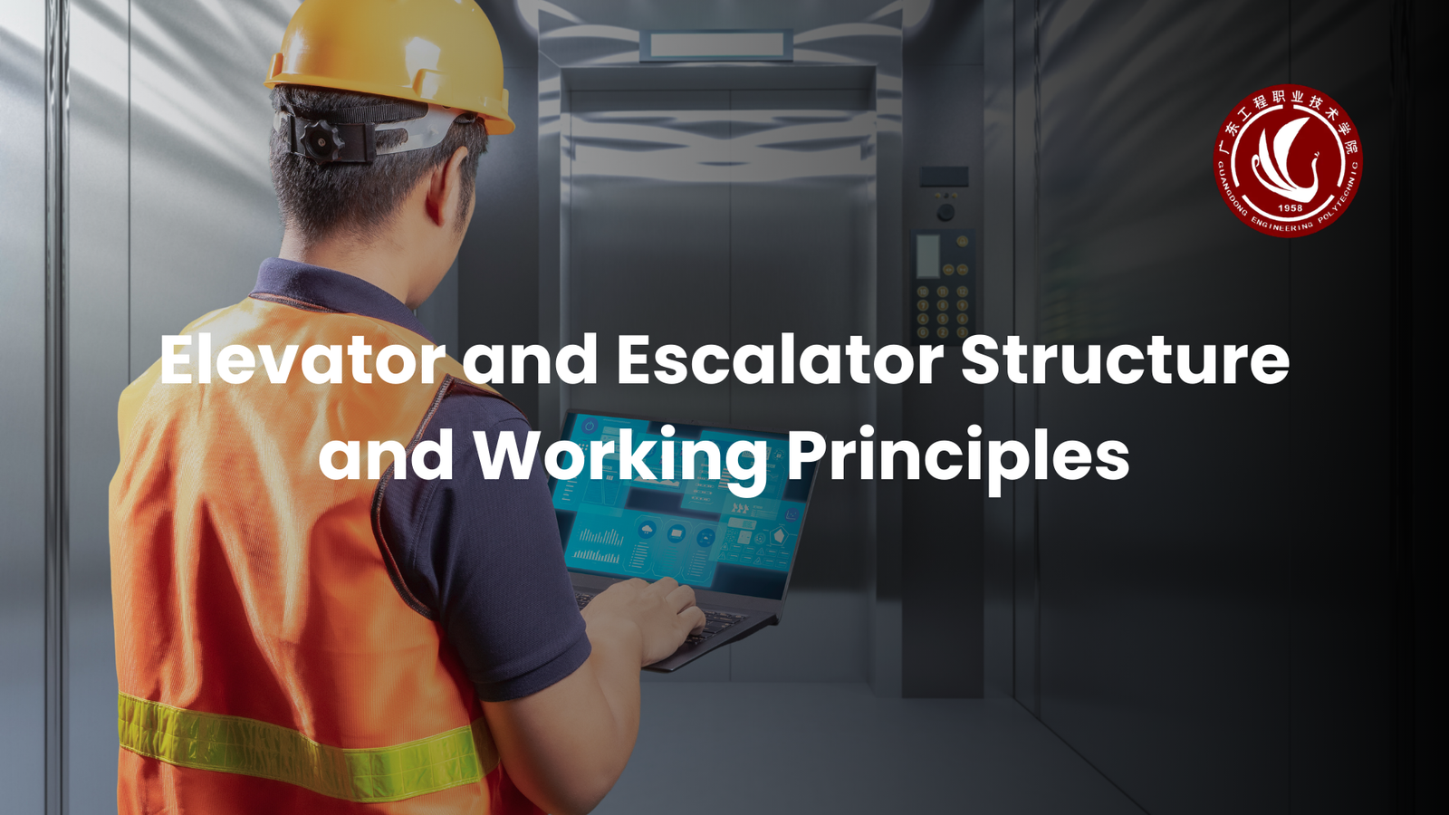 Elevator and Escalator Structure and Working Principles